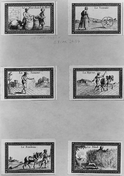 Six vignettes depicting the cultivation of cereals (engraving) (b  /  w photo)