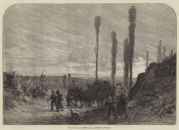 The Vintage in France, Grape Gatherers returning (engraving)