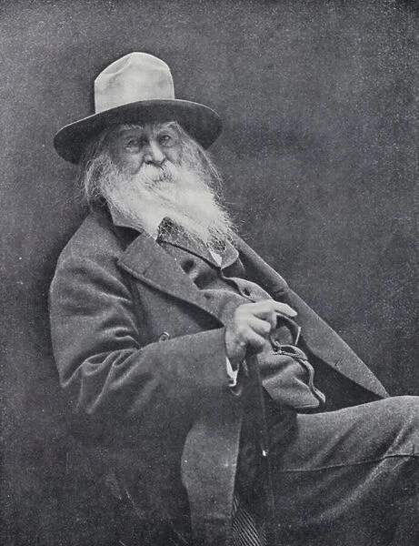 Walt Whitman (b  /  w photo)