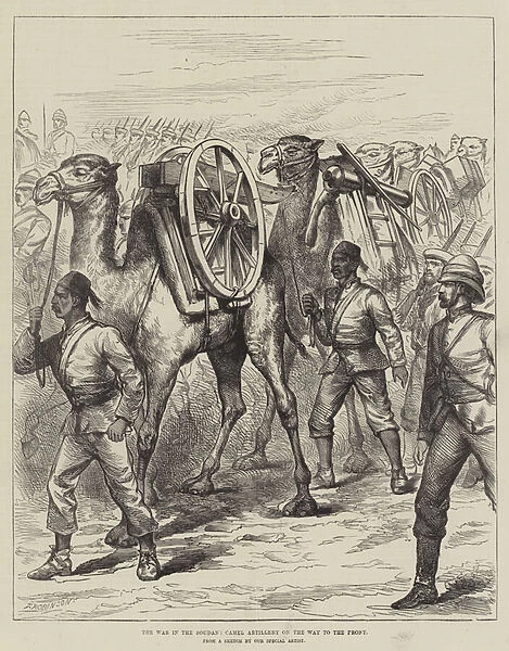 The War in the Soudan, Camel Artillery on the Way to the Front (engraving)