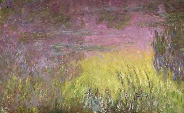Waterlilies at Sunset, 1915-26 (oil on canvas) (detail of left side)