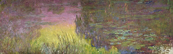 Waterlilies at Sunset, 1915-26 (oil on canvas)
