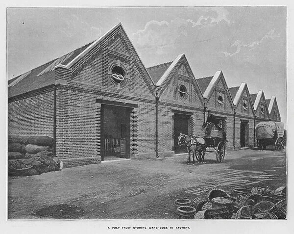 Whiteleys Farms: A pulp fruit storing warehouse in factory (b  /  w photo)