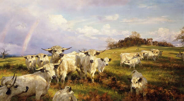 Wild Cattle of Chartley, Chartley Castle Beyond, 1902 (oil on canvas)