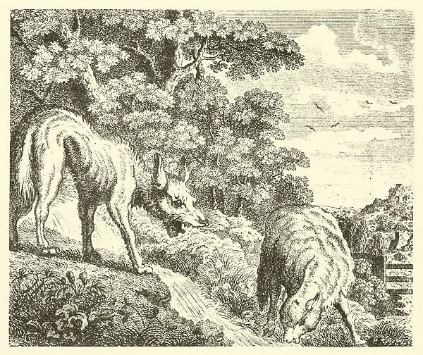 The wolf and the lamb (engraving)