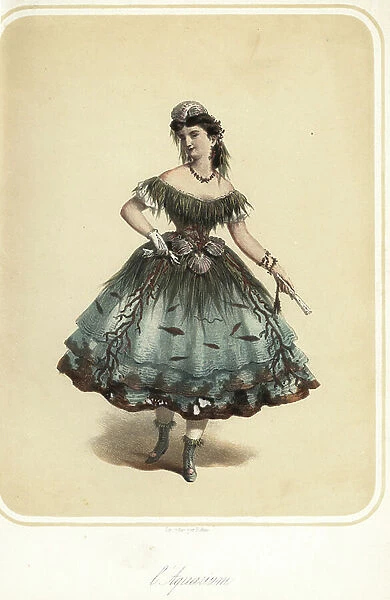 Woman in fancy dress costume as an Aquarium, 1880s (lithograph)