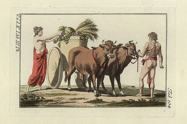 Woman loading wheat, melons and vegetables onto a Roman two-wheeled farm cart Plaustrum drawn by oxen. Handcolored copperplate engraving from Robert von Spalart's ' Historical Picture of the Costumes of the Principal People of Antiquity