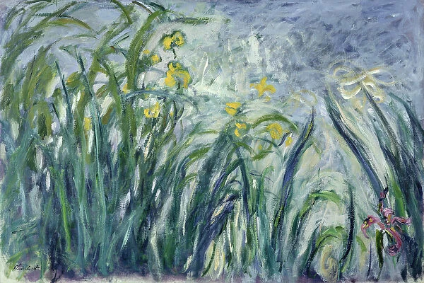 Yellow and Purple Irises, 1924-25 (see detail 414407) (oil on canvas)