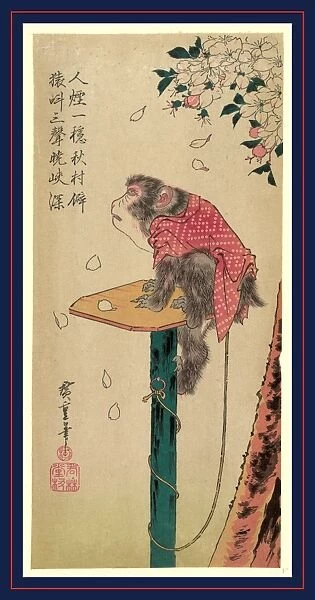 1797-1858 1830 1858 Ando Hiroshige Monkey Sakura