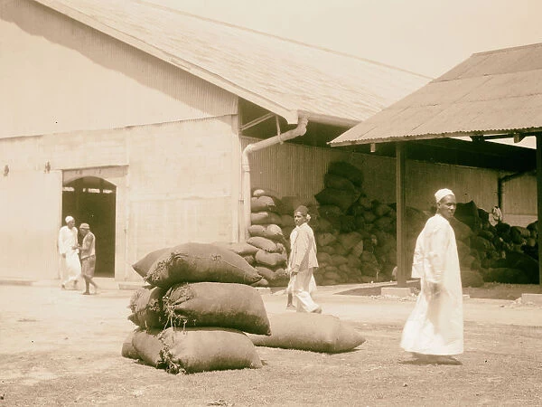 1936 Zanzibar bags cloves exportation