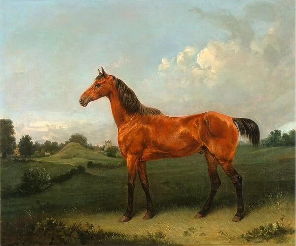 A Bay Horse in a Field Bay Hunter in a Landscape Signed, brown paint, lower right