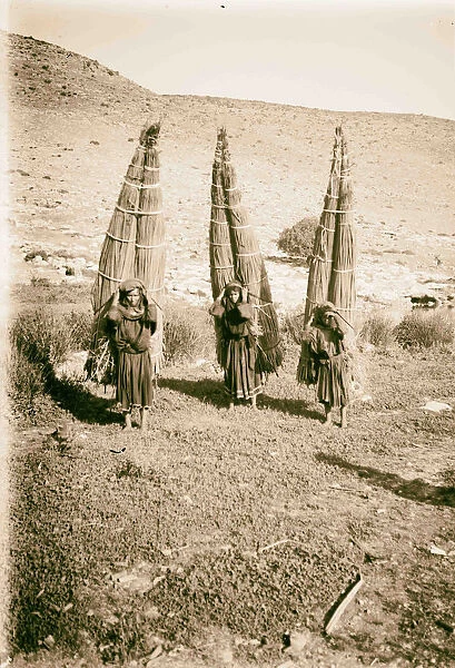 Bedouin women laden w  /  papyrus 1900 Middle East
