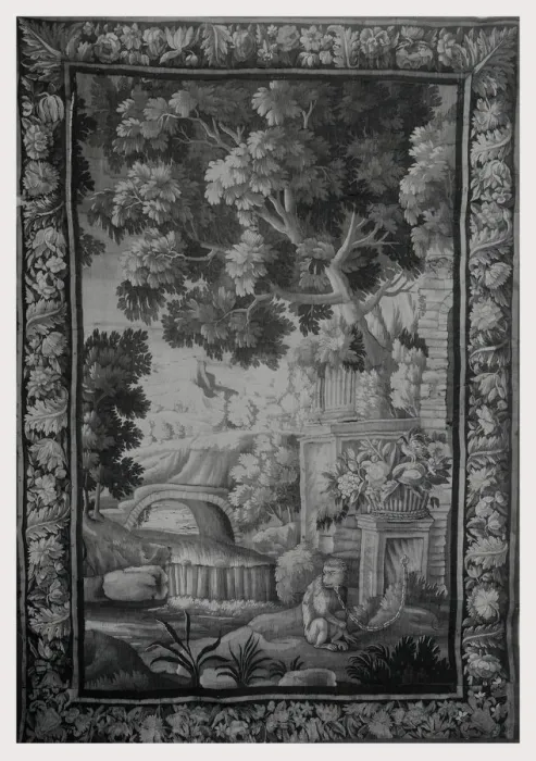 Framed Print : Chained Monkey Print Next to River