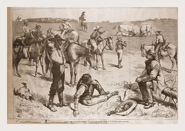 Among the Cow Boys, betting the Bull Fight. 1880, 19th century engraving, USA, America
