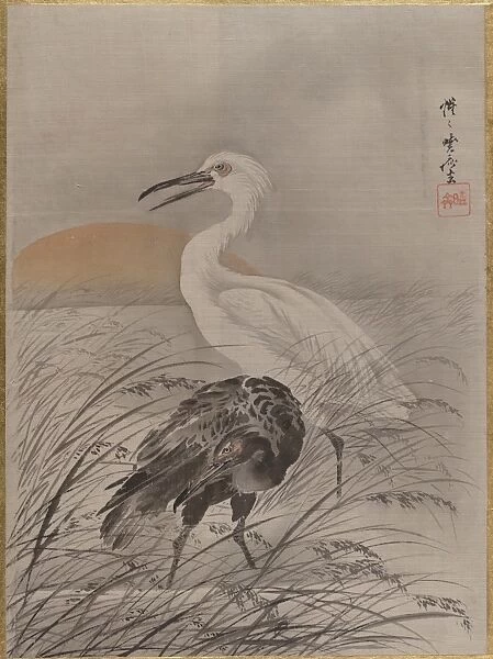Cranes Marsh Meiji period 1868-1912 ca 1887
