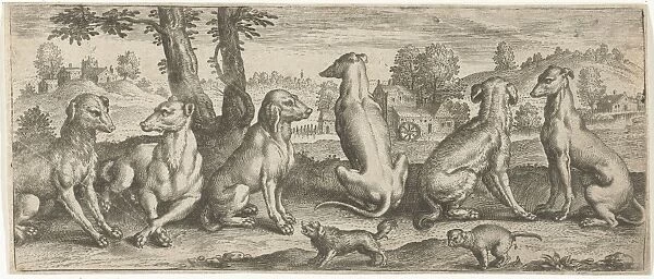 Dogs, possibly Abraham de Bruyn, after 1583