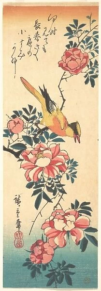 Eastern Grey Wagtail Rose Edo Period 1615-1868