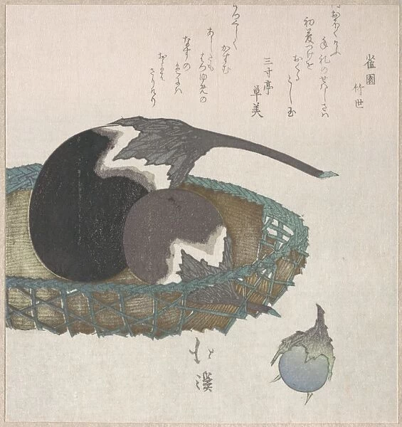 Eggplants Basket Edo period 1615-1868 19th century