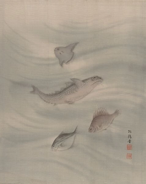 Fishes Meiji period 1868-1912 ca 1890-92
