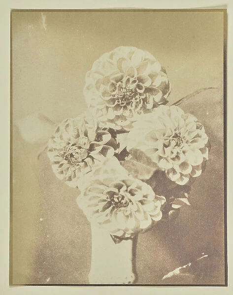Flowers Vase Hippolyte Bayard French 1801 1887