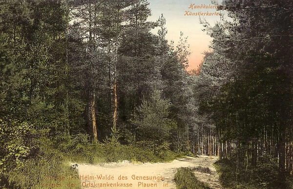 Forests Saxony 1906 Vogtlandkreis Mühlhausen