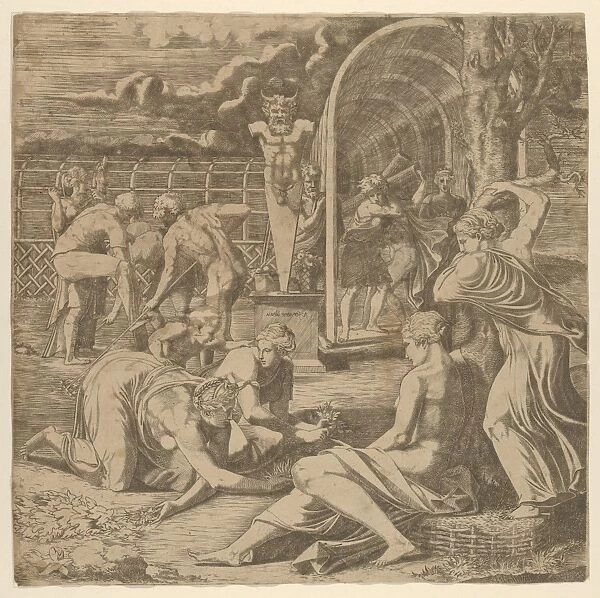 Garden Vertumnus ca 1540-45 Engraving Sheet