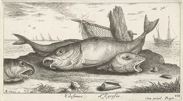 Three haddock on the beach, Albert Flamen, Jacques van Merlen, Lodewijk XIV (koning
