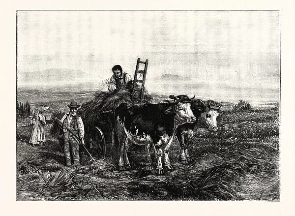 Hay-making in Switzerland, from the Picture by Henry Moore