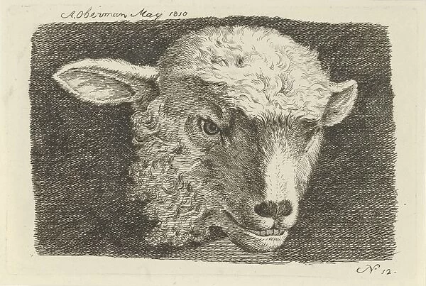 Head of a lamb, Anthony Oberman, 1810