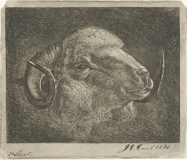 Head of a ram with twisted horns backward, Jacobus Cornelis Gaal, Pieter Gaal, 1858