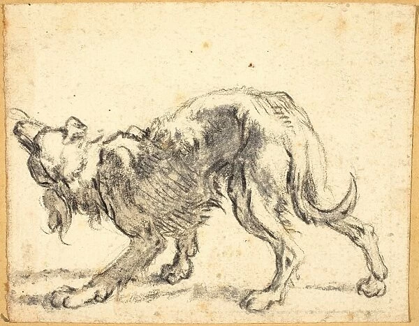 Herman Saftleven, Dutch (1609-1685), A Dog, black chalk with gray-brown wash on laid