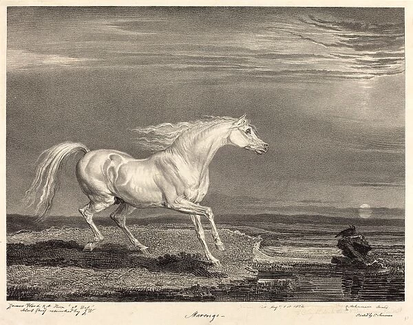 James Ward, British (1769-1859), Marengo, 1824, lithograph on chine applique