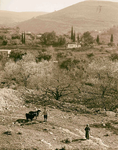 Koloniah 1934 Israel al-Qalunya Al-Qalunya