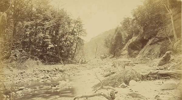 Landscape river South America 1870s Albumen silver print