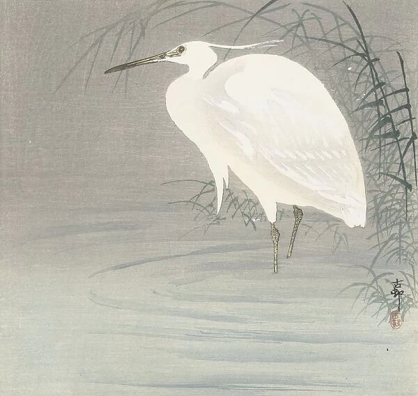 Little egret standing shallow water reed Ohara Koson