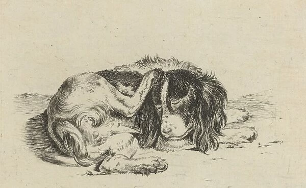 Lying dog, Hendrik Godart de Maree, 1752 - 1783