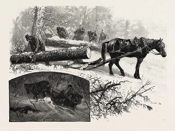 Marking Logs at Skidway, Lumbering, Canada, Nineteenth Century Engraving