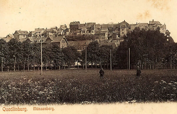 Münzenberg Quedlinburg Views 1905 Saxony-Anhalt