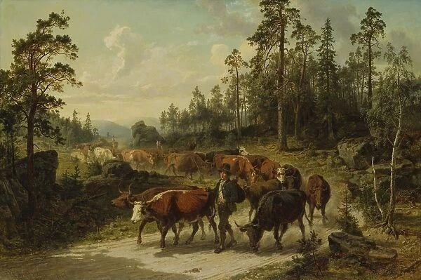 Nils Andersson Driving Cattle SmAaland Oxdrift