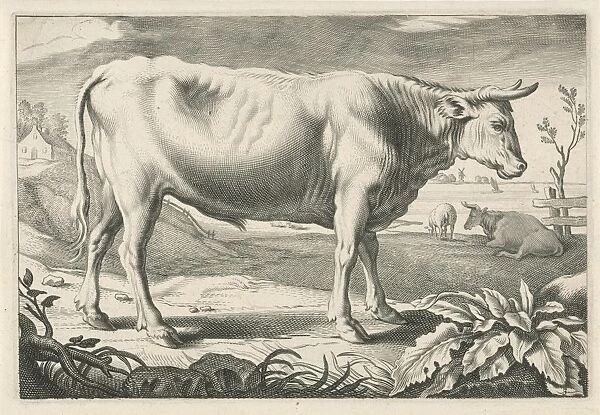 Pasture with an ox, Reinier van Persijn, Jacob Gerritsz Cuyp, Nicolaes Visscher (I), 1641