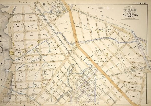 Plate 19: Bounded by Bungay St. Southern Blvd. Prospect Ave. Dongan St. Fox St