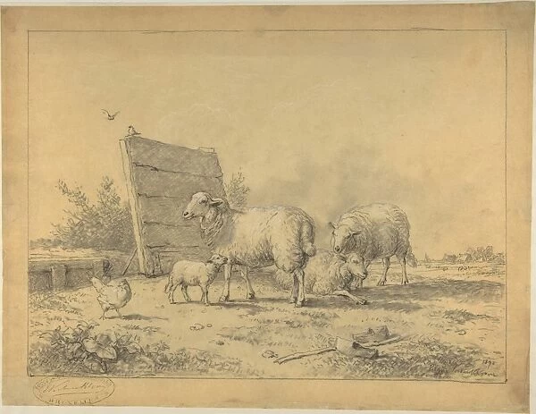 Sheep Landscape 1870 Black white chalk tracing paper