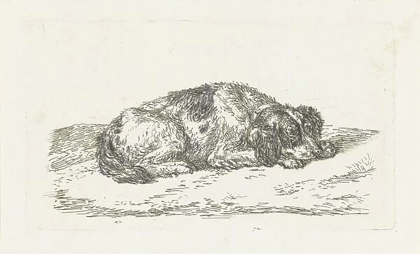 Sleeping dog with head resting on front paws, Jan Dasveldt, 1780 - 1855