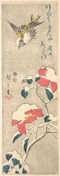 Sparrow Snow-covered Camellia Tsubaki Edo Period
