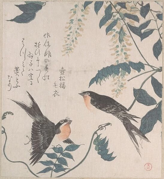 Swallows Wisteria 19th century Japan Part album