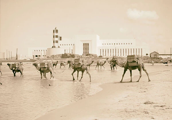 Tel Aviv Reading Power House camels fording river