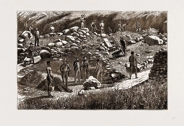 The Transvaal Gold Fields, South Africa, 1875: Diggers at Work