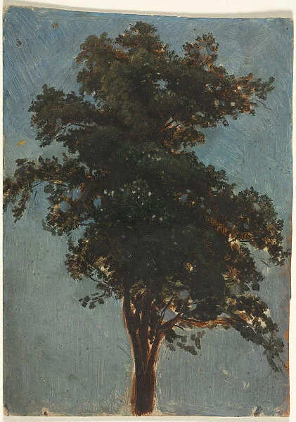 Tree Study second third 1800s Attributed Alexandre Calame