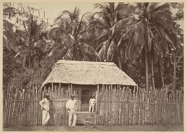 Tropical Scenery Native Hut Turbo 1871 Albumen silver print