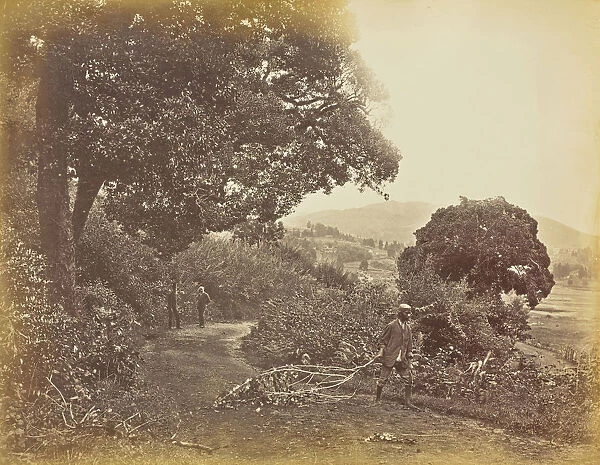 View Ooty r. d sic Dr Sayers Willoughby Wallace